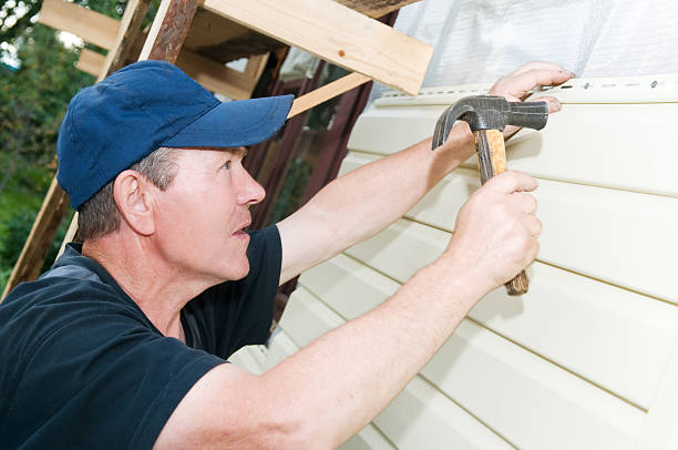 Best Siding Painting and Refinishing  in Willimantic, CT